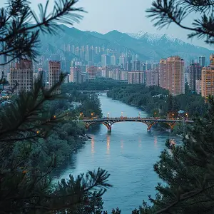 科技论文时态怎么选择